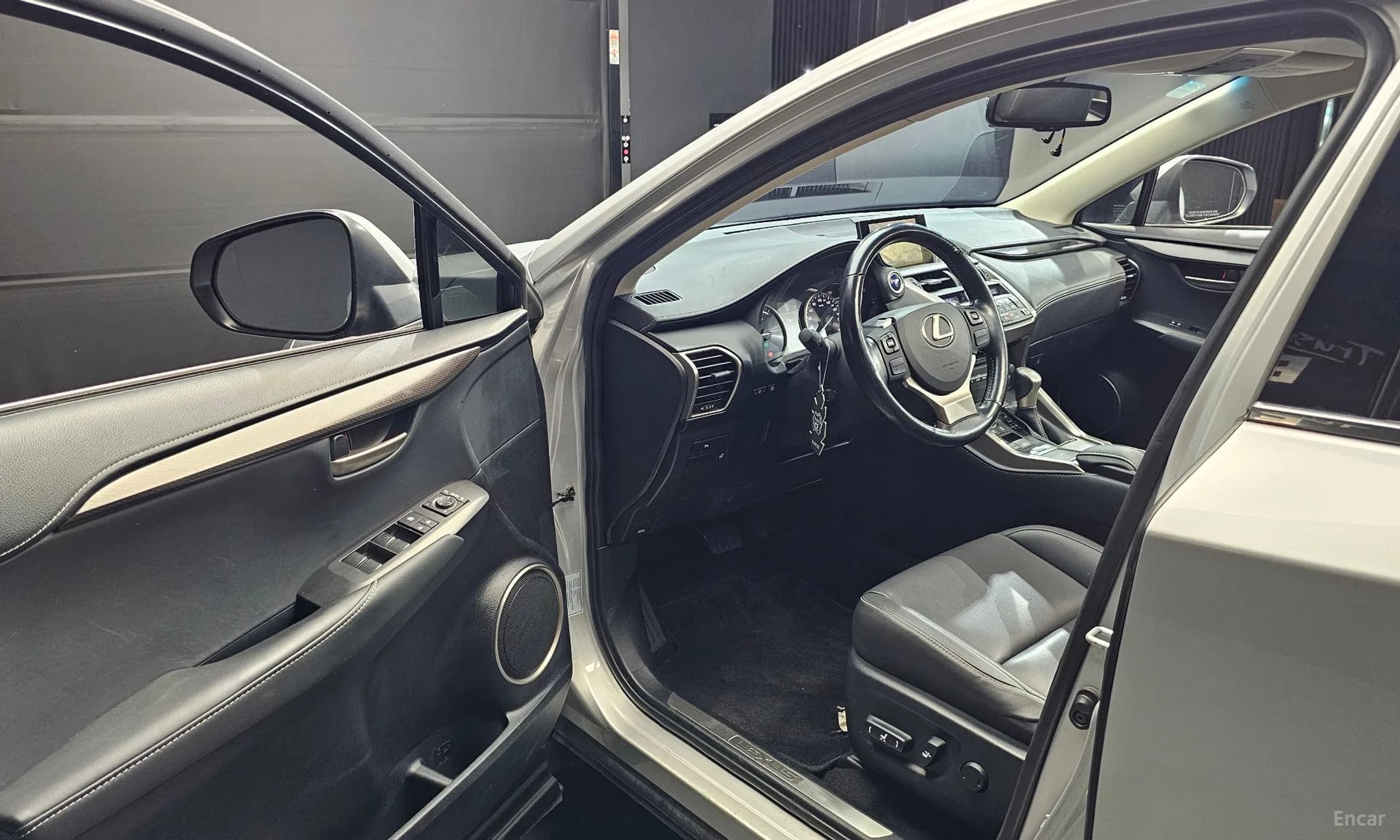 NX300h