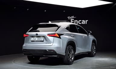 NX300h