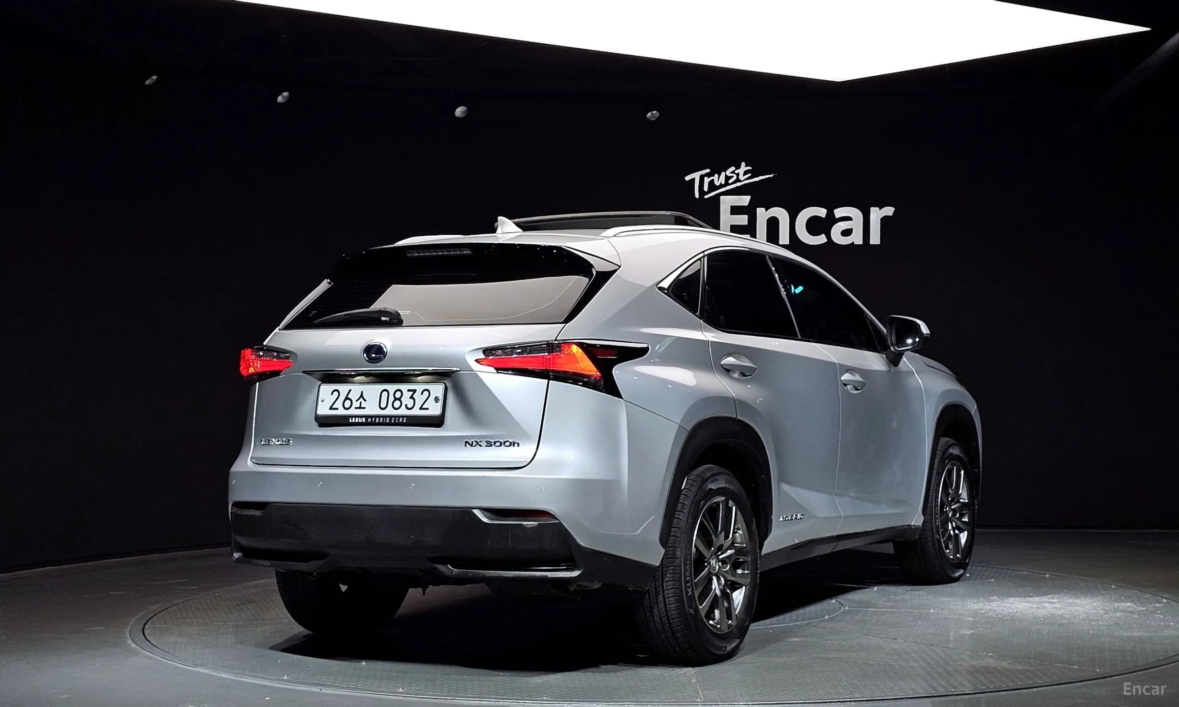 NX300h