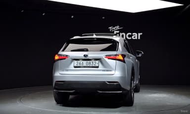 NX300h