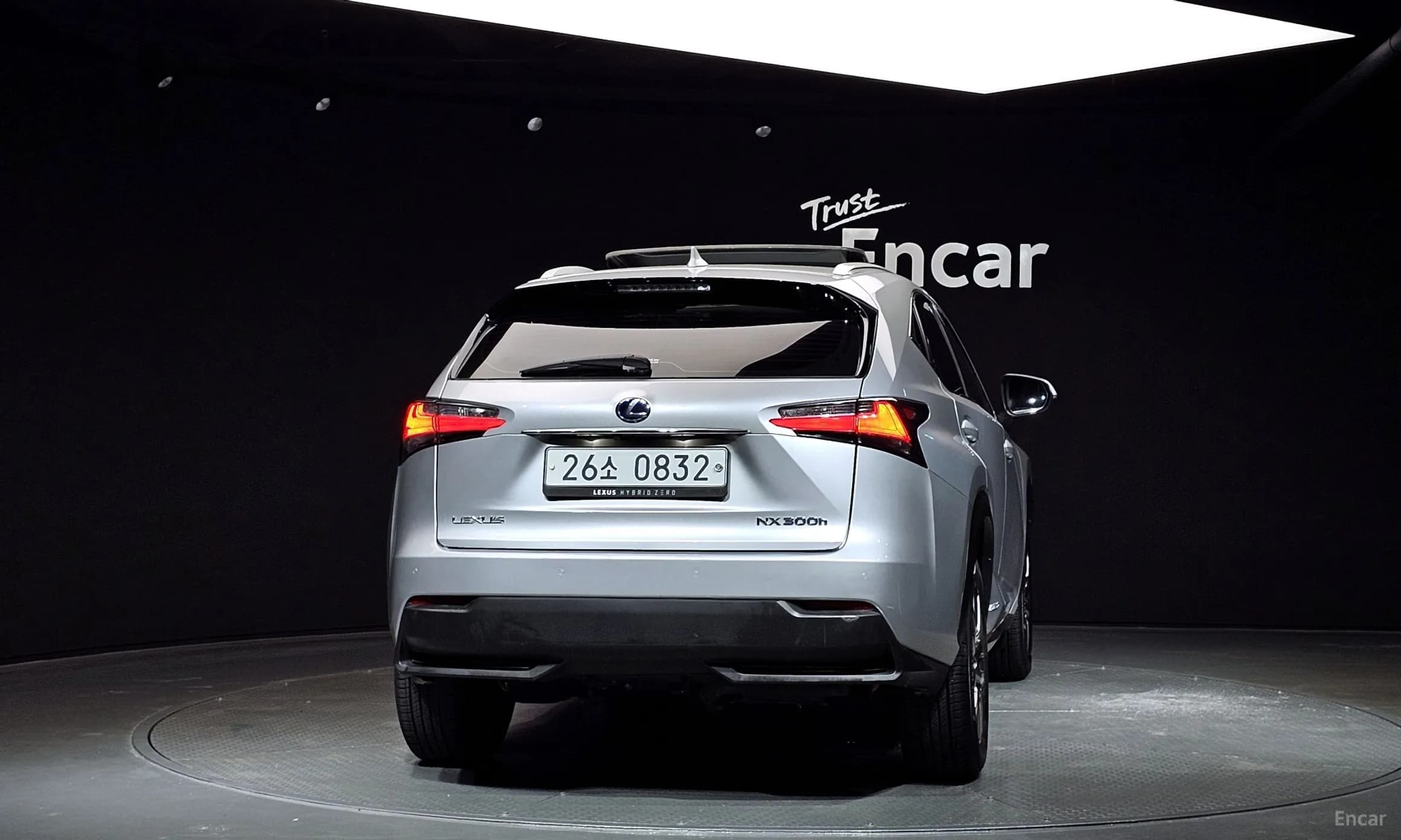 NX300h