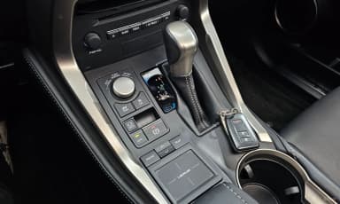 NX300h