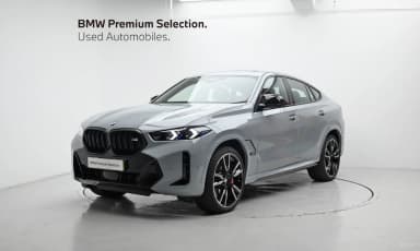 X6 (G06)