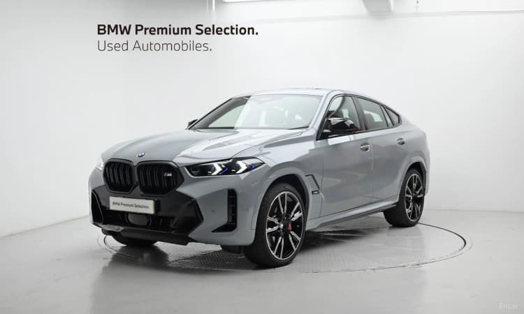 X6 (G06)