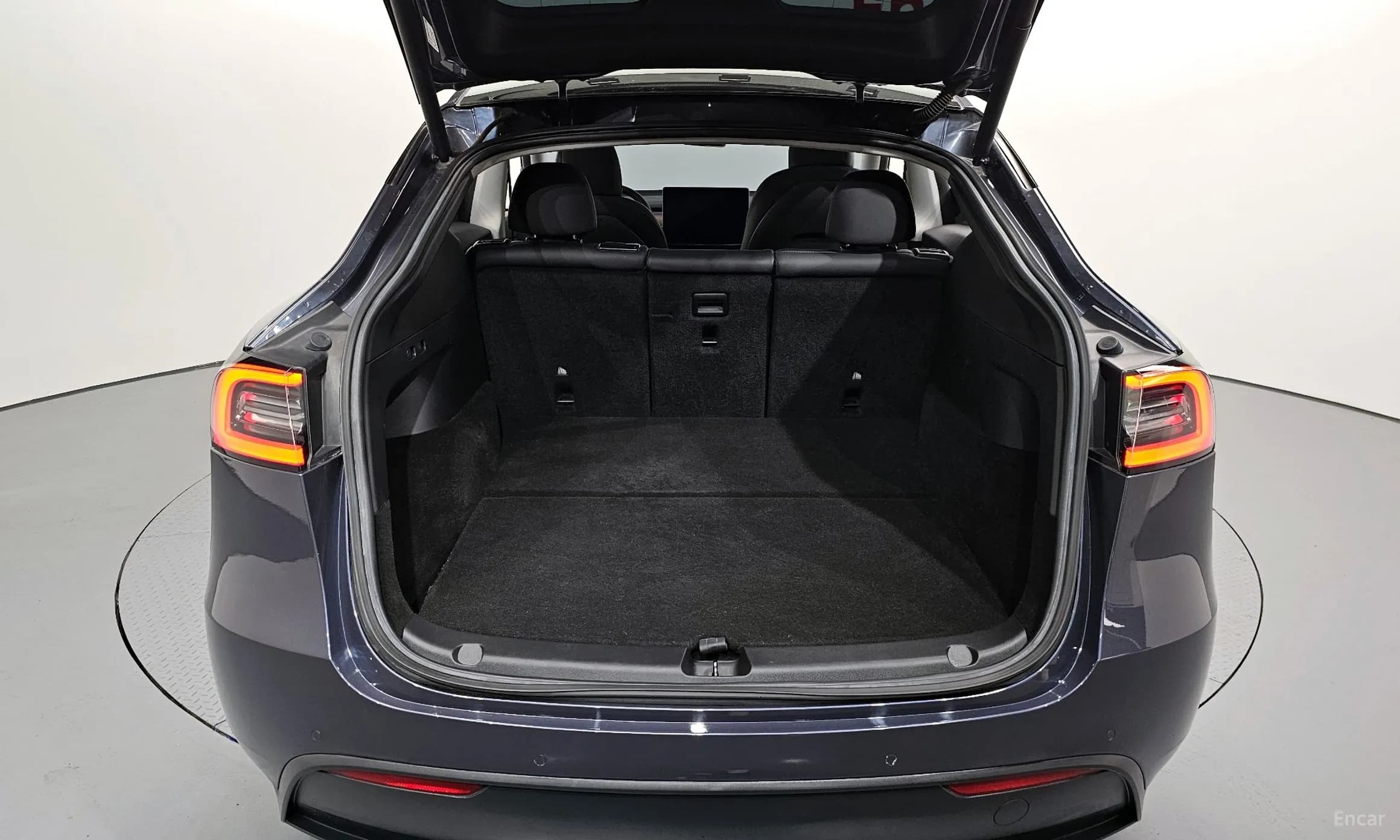 Model Y