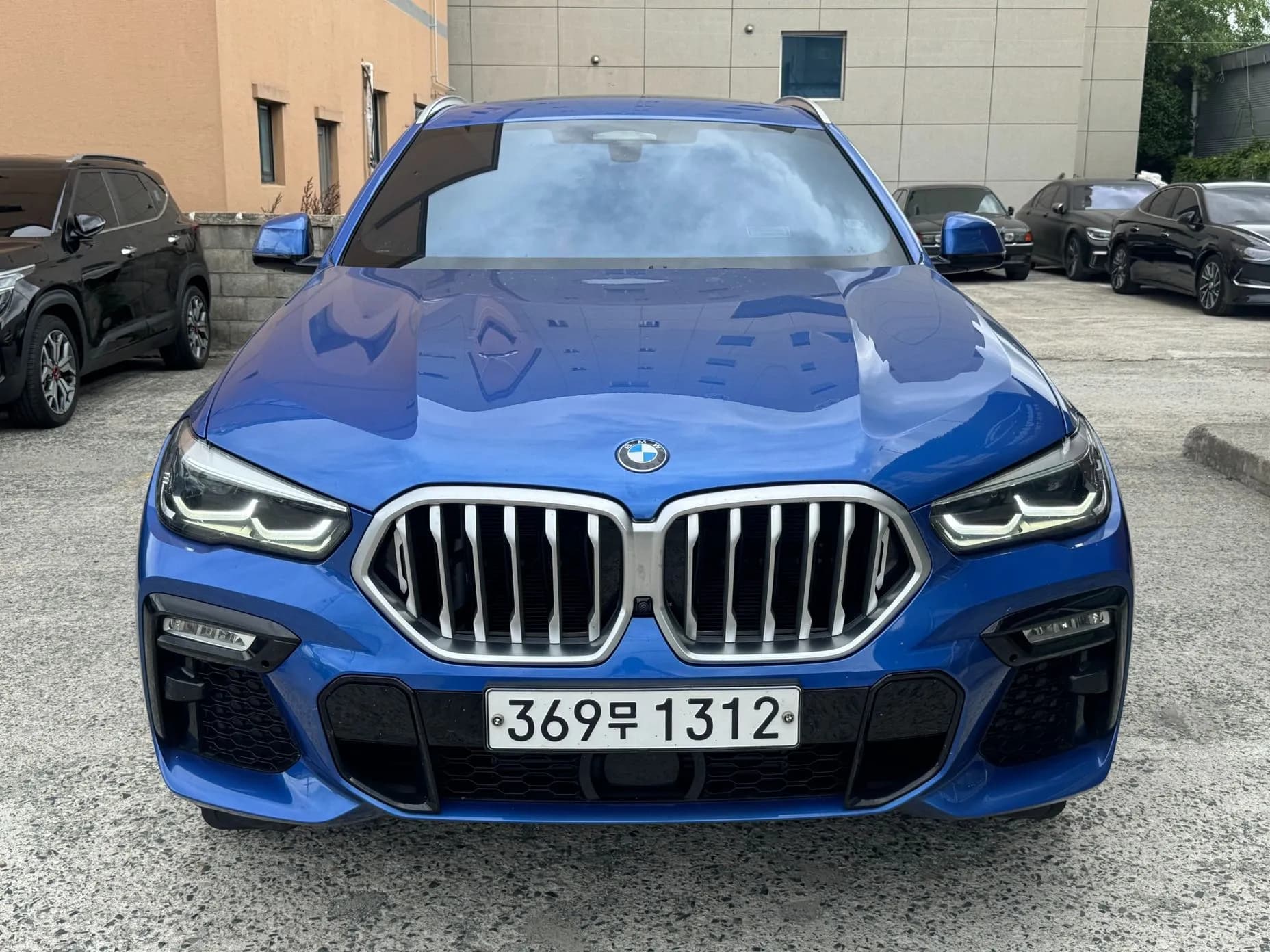 X6 (G06)