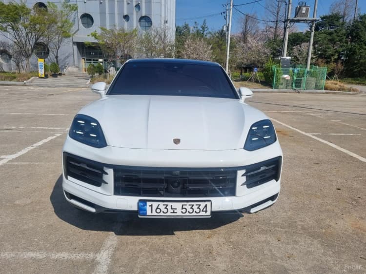 Cayenne (PO536)