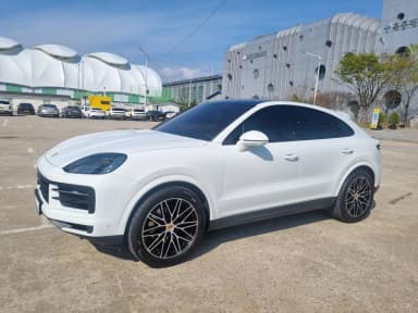 Cayenne (PO536)