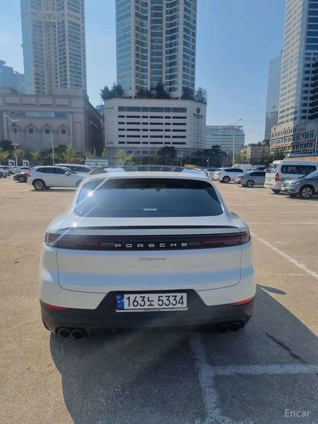 Cayenne (PO536)