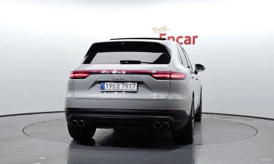 Cayenne (PO536)