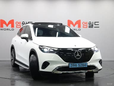 EQE SUV X294