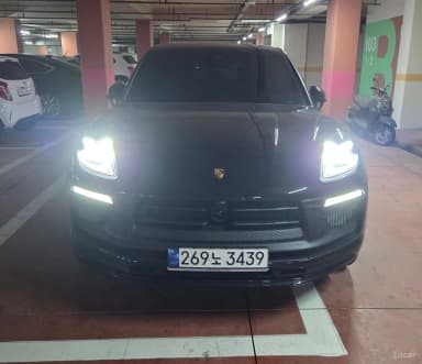 Macan