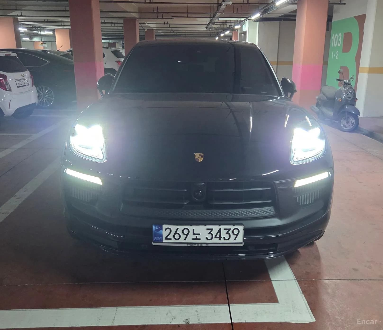 Macan