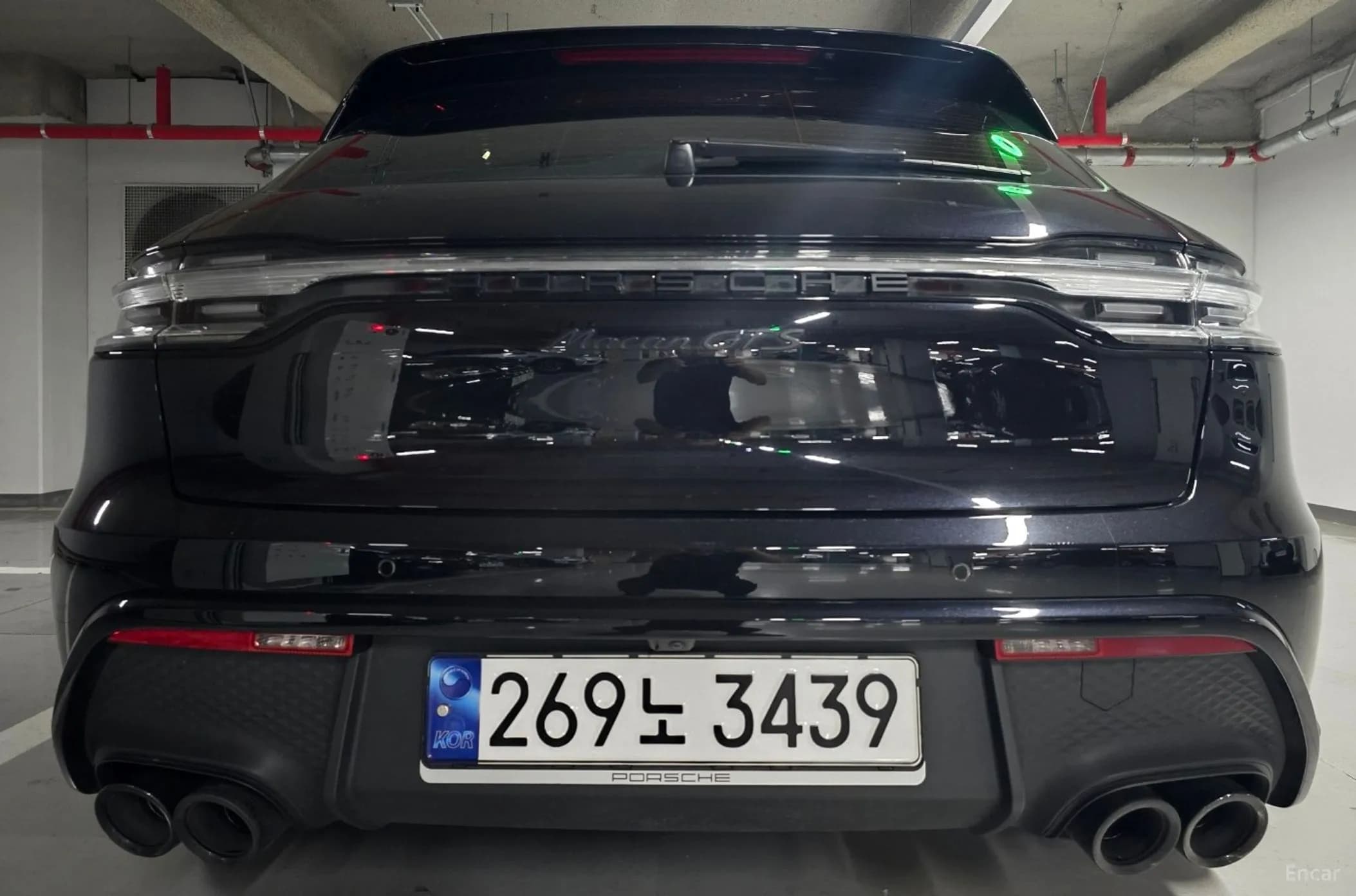 Macan