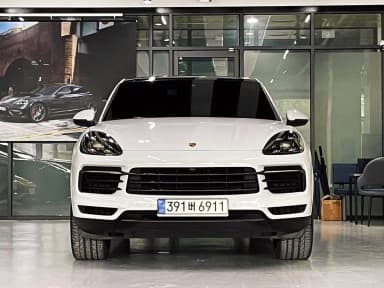 Cayenne (PO536)