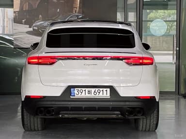Cayenne (PO536)