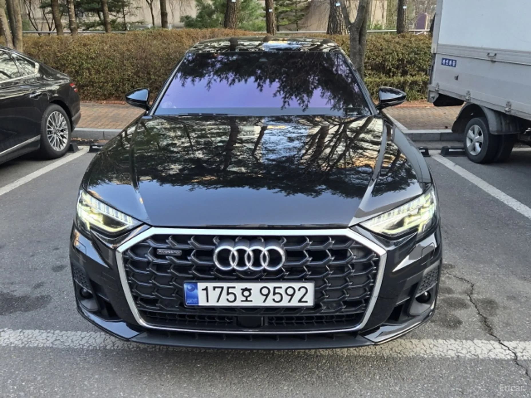 A8 (D5)