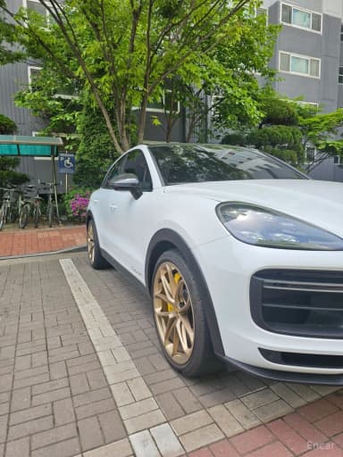 Cayenne (PO536)