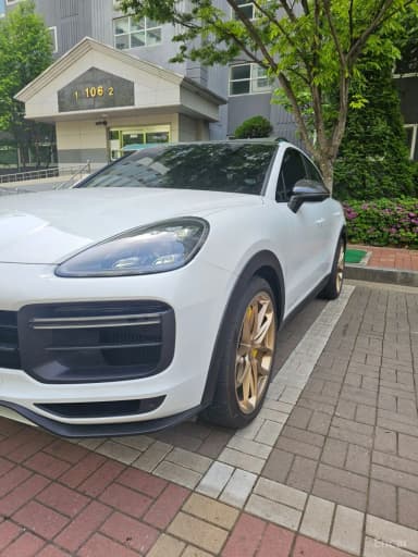 Cayenne (PO536)