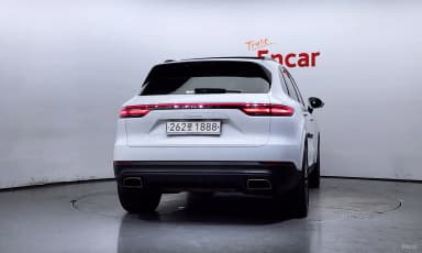 Cayenne (PO536)