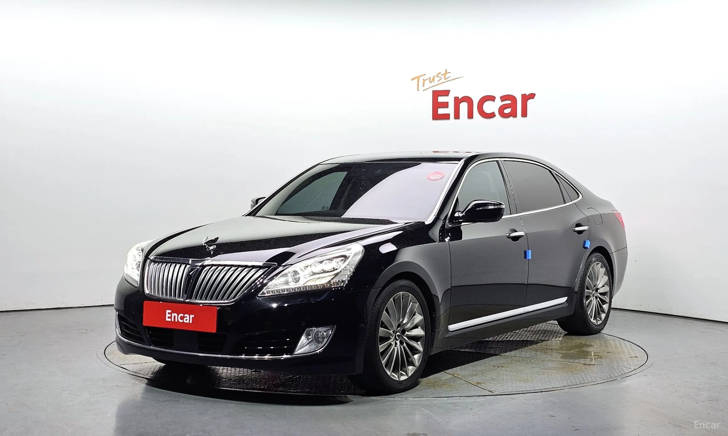 Equus (new)