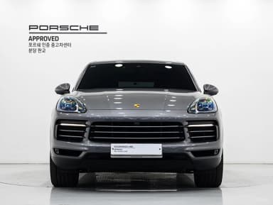 Cayenne (PO536)