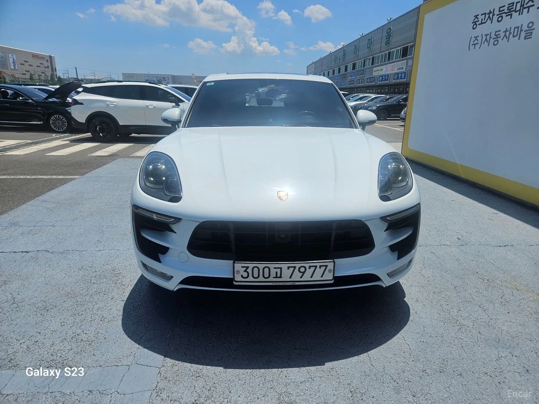Macan