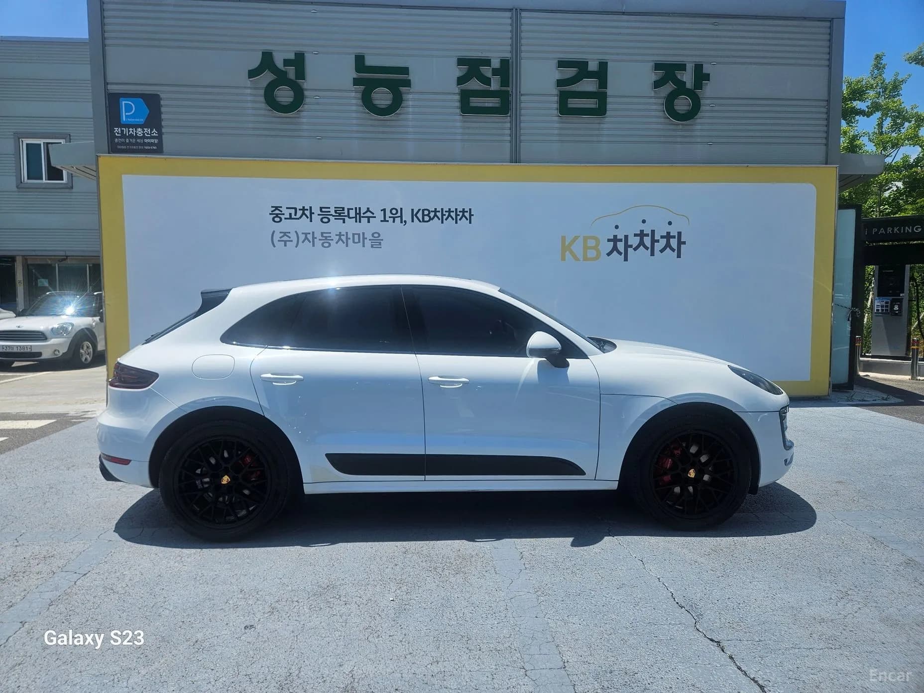 Macan