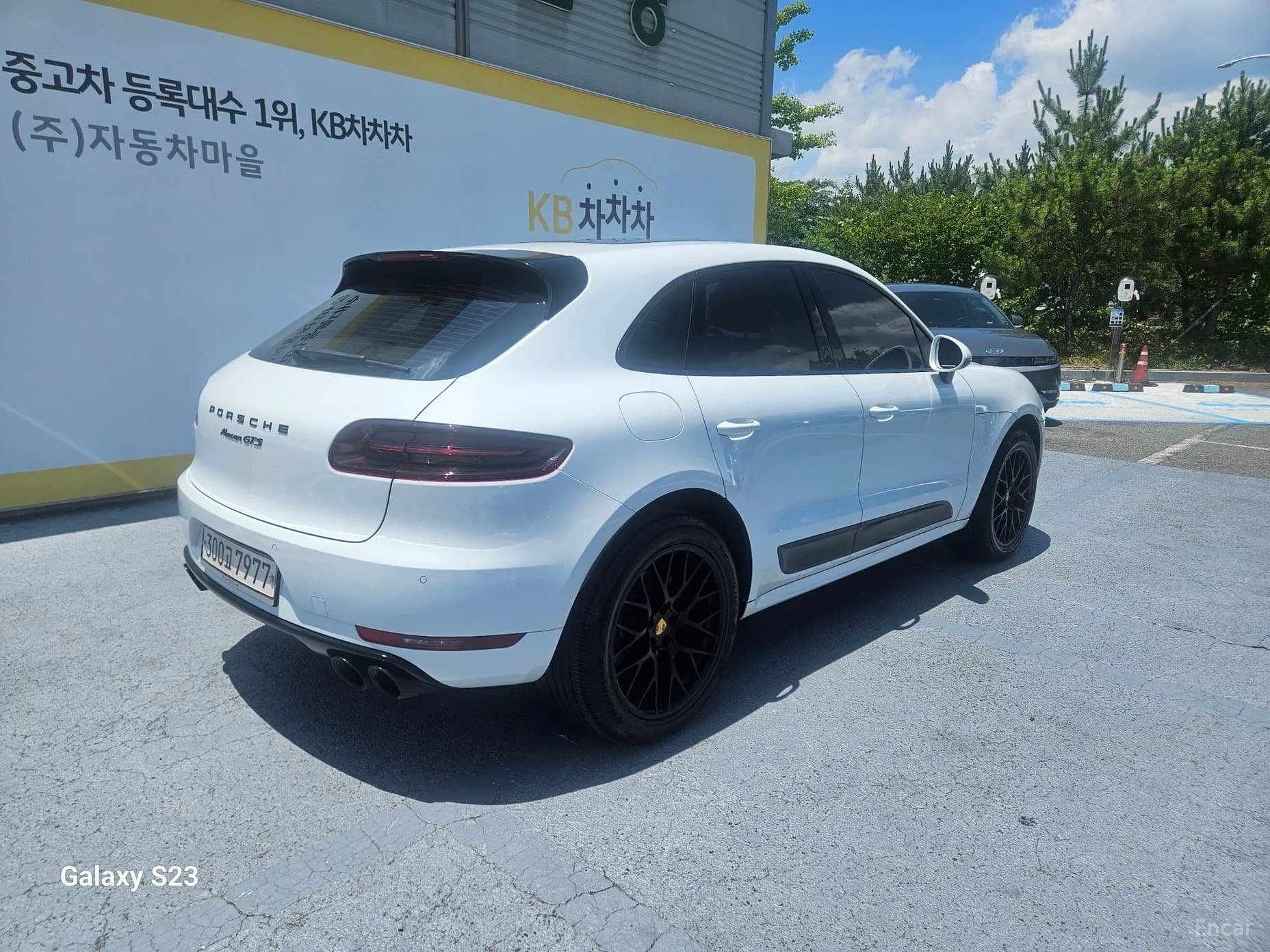 Macan