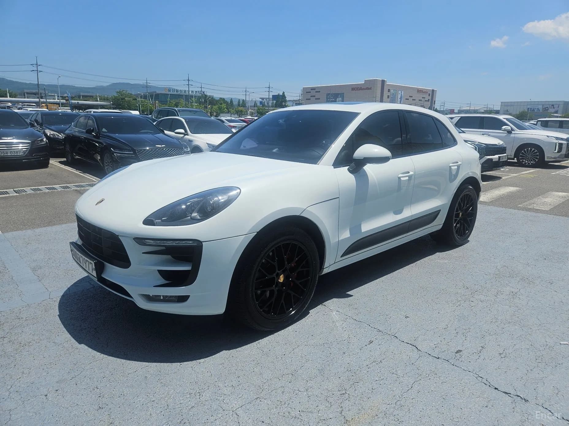 Macan