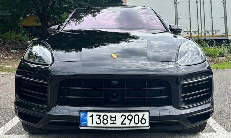 Cayenne (PO536)