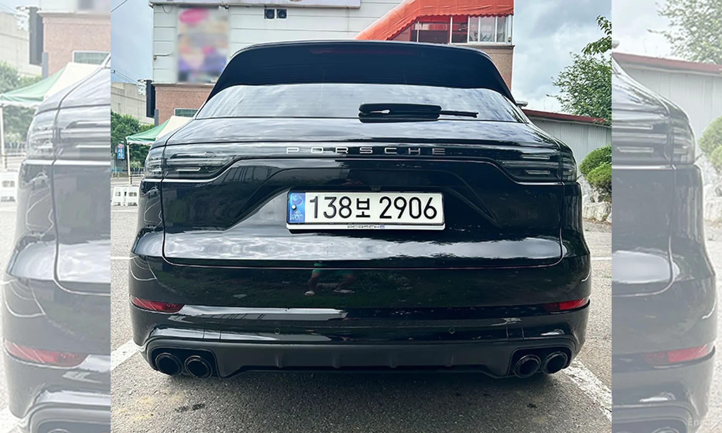 Cayenne (PO536)