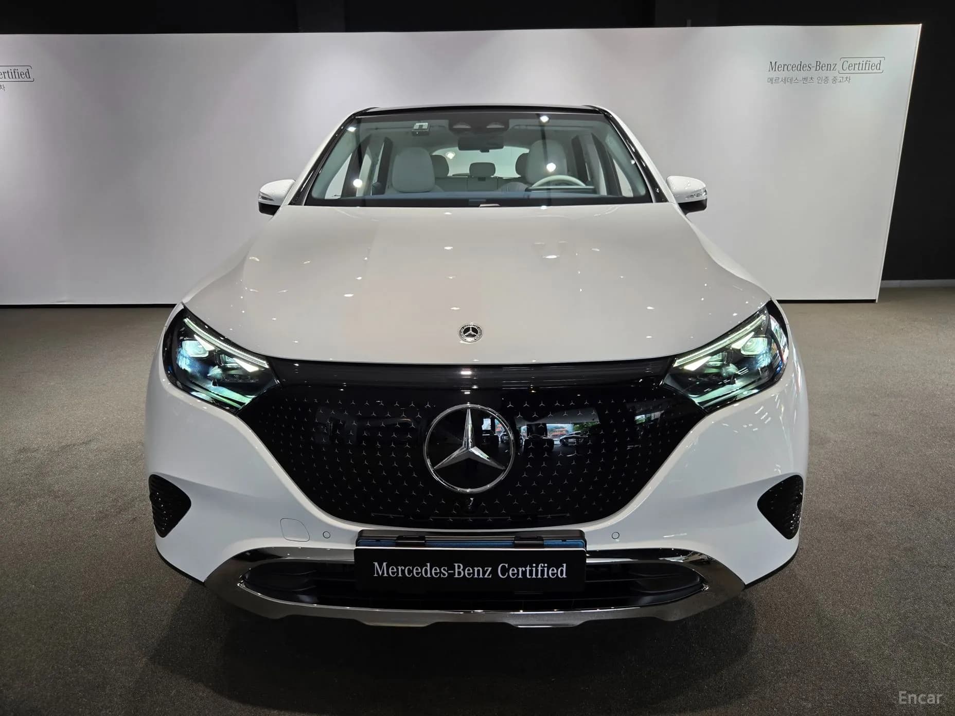 EQE SUV X294