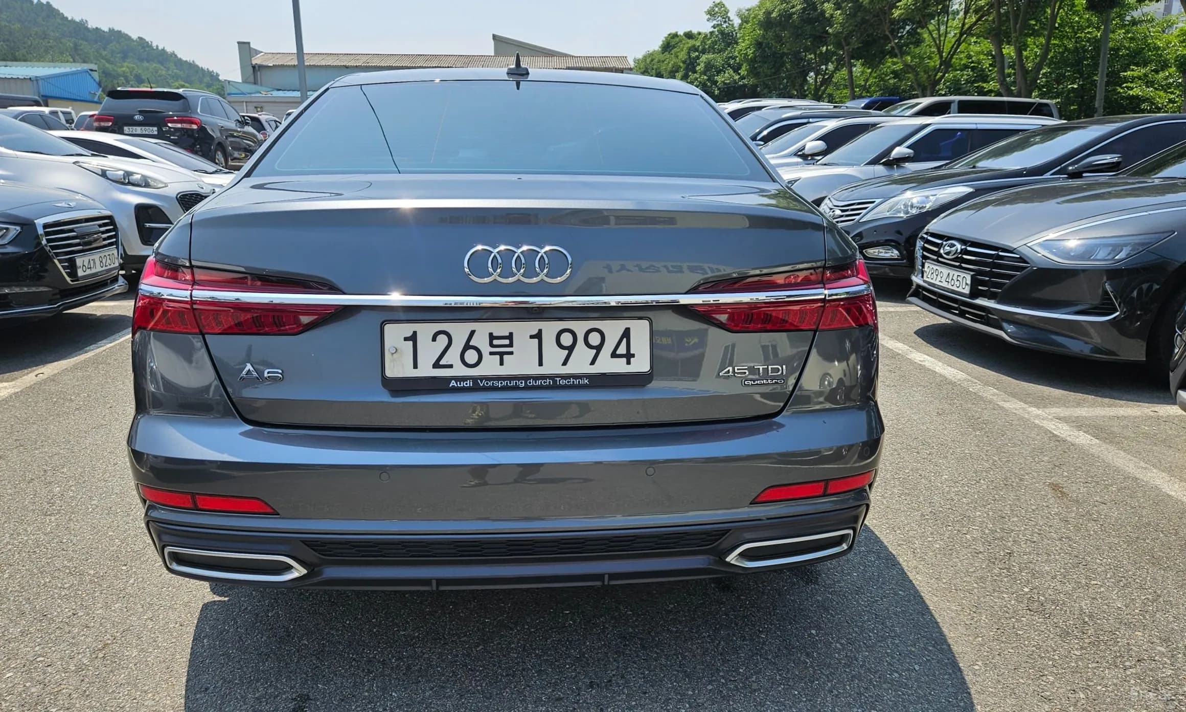 A6 (C8)