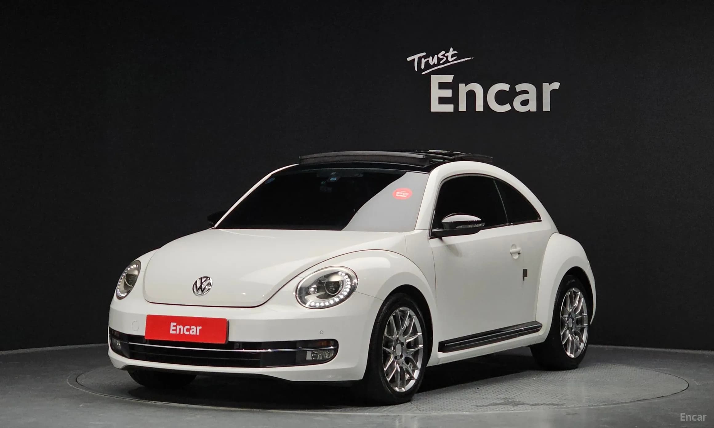 The Beetle