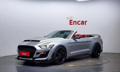 Mustang