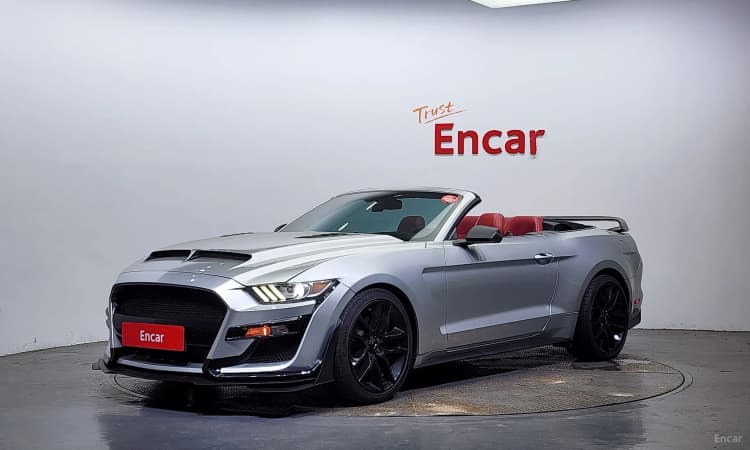 Mustang