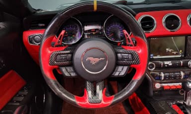 Mustang