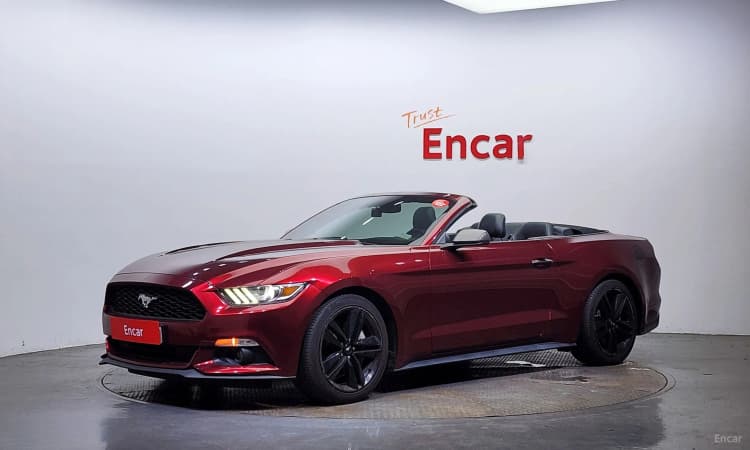 Mustang