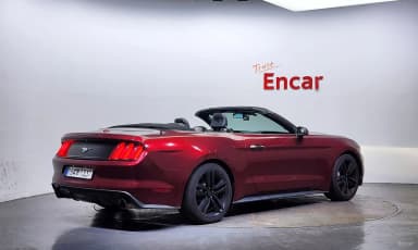 Mustang
