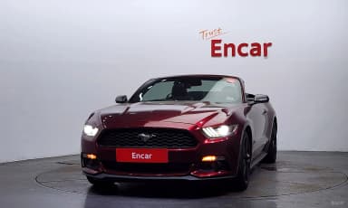 Mustang