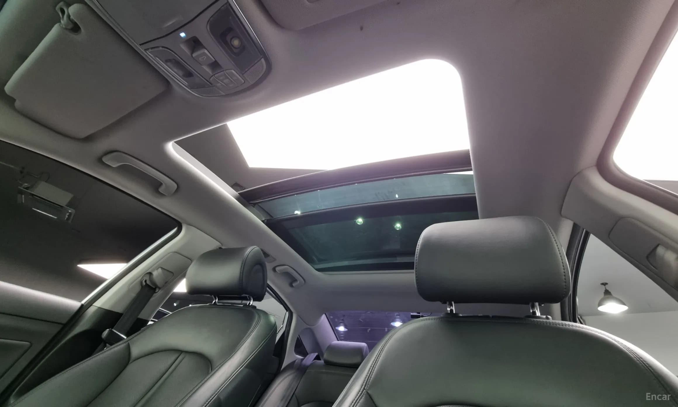 LF Sonata