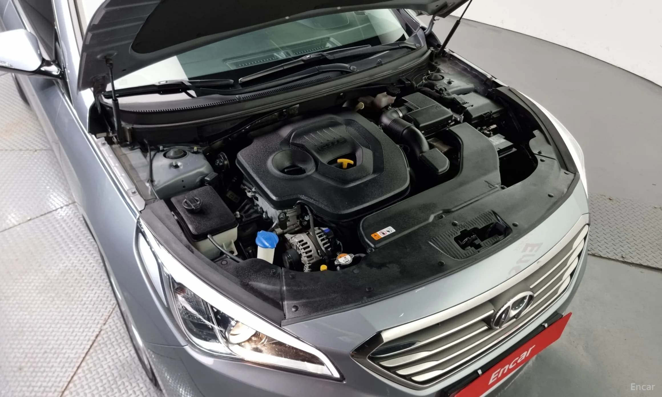 LF Sonata