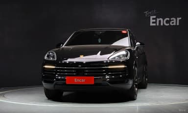 Cayenne (PO536)