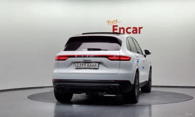 Cayenne (PO536)