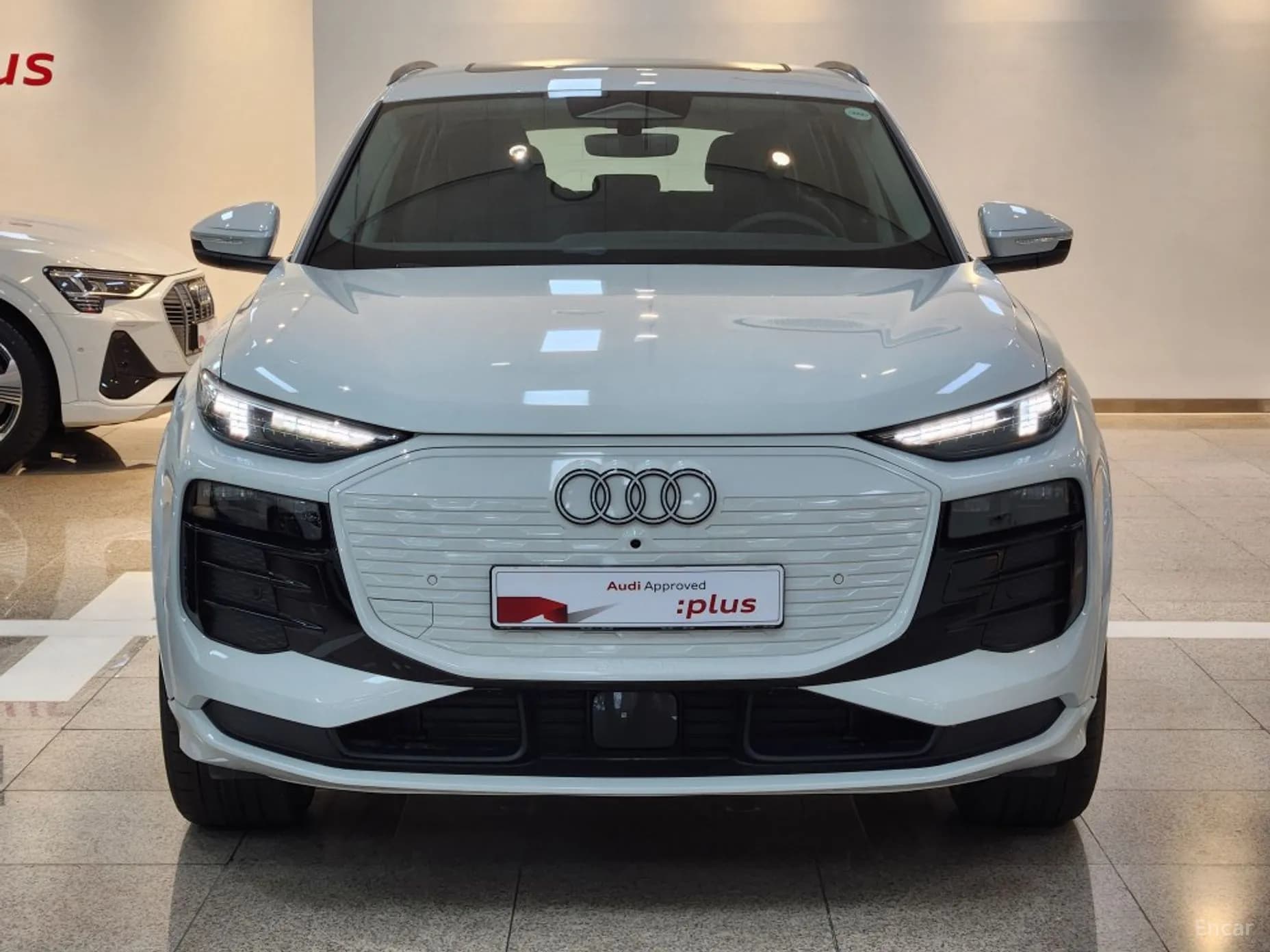 Q6 e-tron (GF)