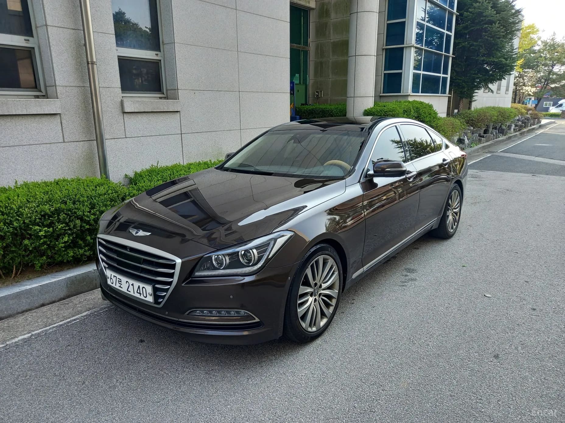 Genesis DH
