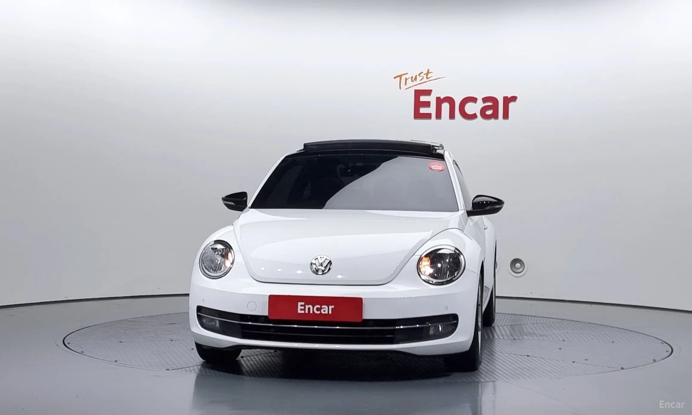 The Beetle