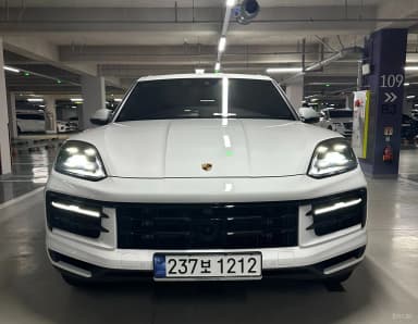 Cayenne (PO536)