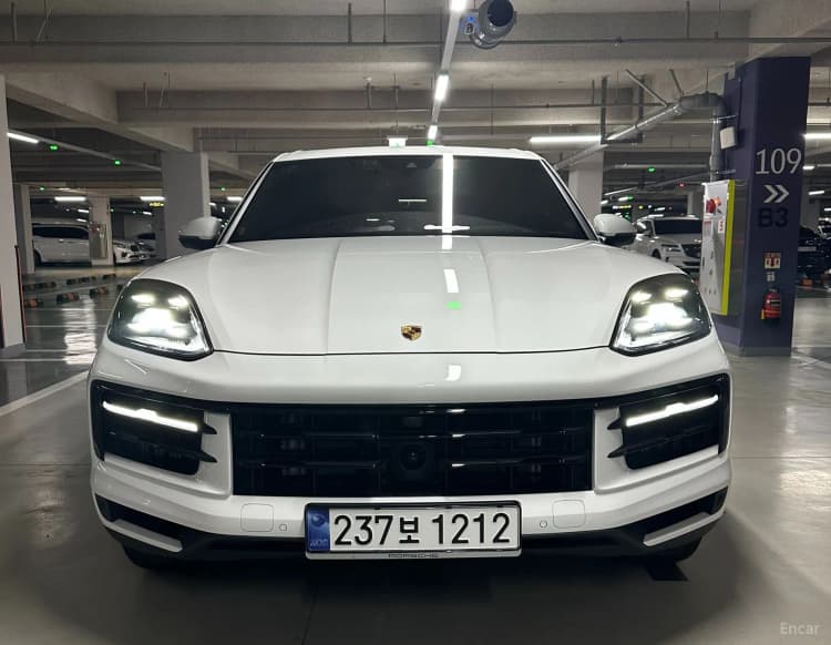 Cayenne (PO536)